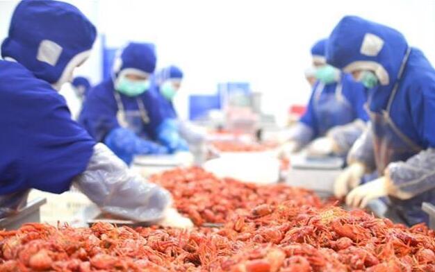 618三天賣出1000萬只小龍油炸出產(chǎn)線蝦 湖北小龍蝦占半壁江山