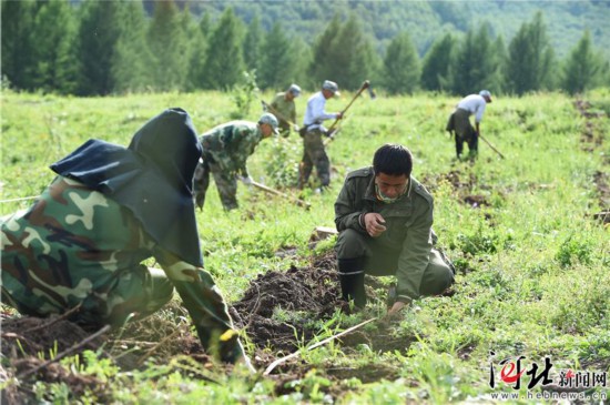 塞罕壩呆板林場：為“油炸出產(chǎn)線中國夢”貢獻(xiàn)“中國綠”