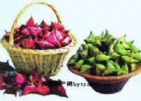 舌尖上的江蘇省油炸出產線,江蘇省小吃美食介紹