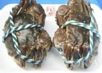 舌尖上的江蘇省油炸出產線,江蘇省小吃美食介紹